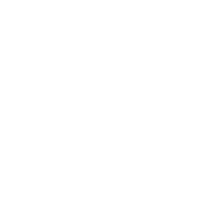 Shine Bright Nutrition Logo